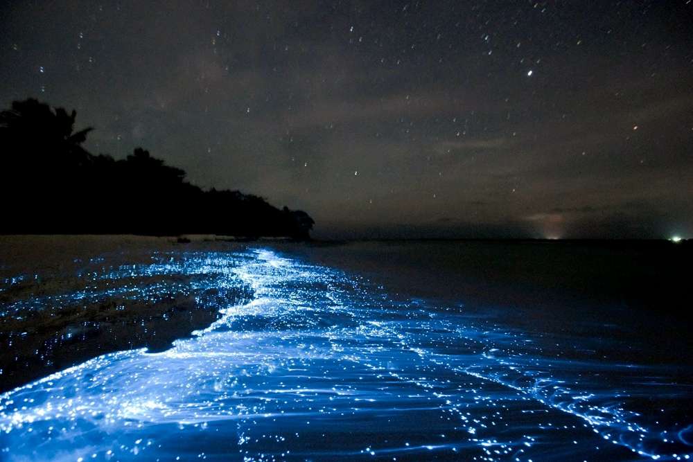 Le plancton lumineux la nuit à Koh Rong